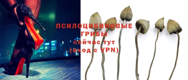спиды Навашино